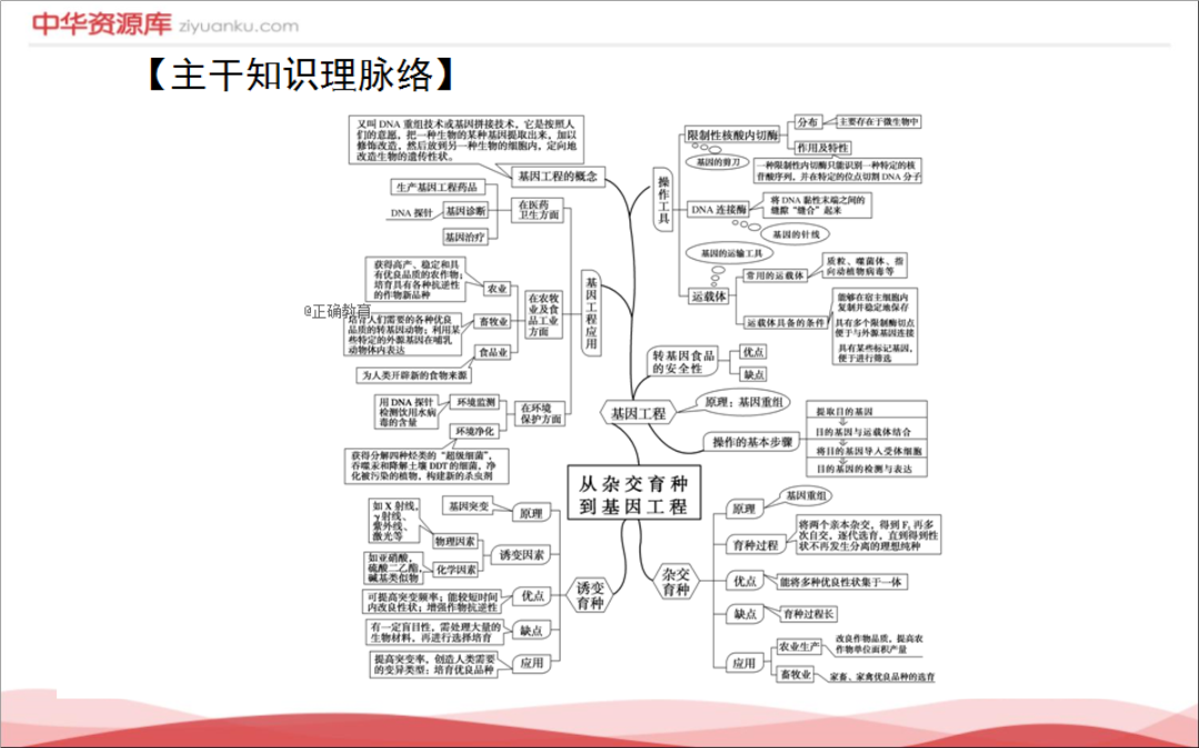 2018-2019学年高一生物人教版必修2课件:6 从杂交育种