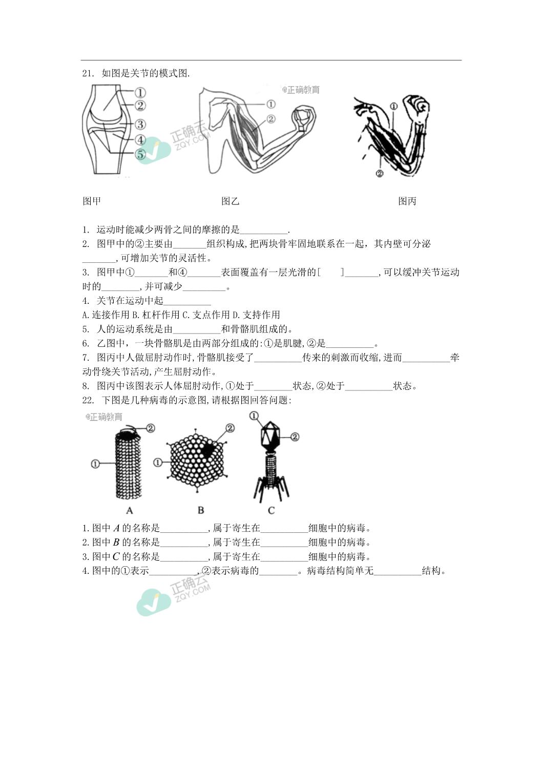 呼和浩特市开来中学图片