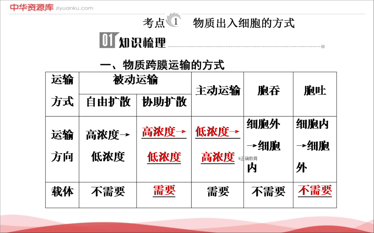 控制物质进出细胞图片