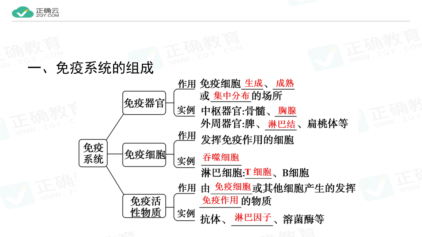 高中生物 免疫调节图片