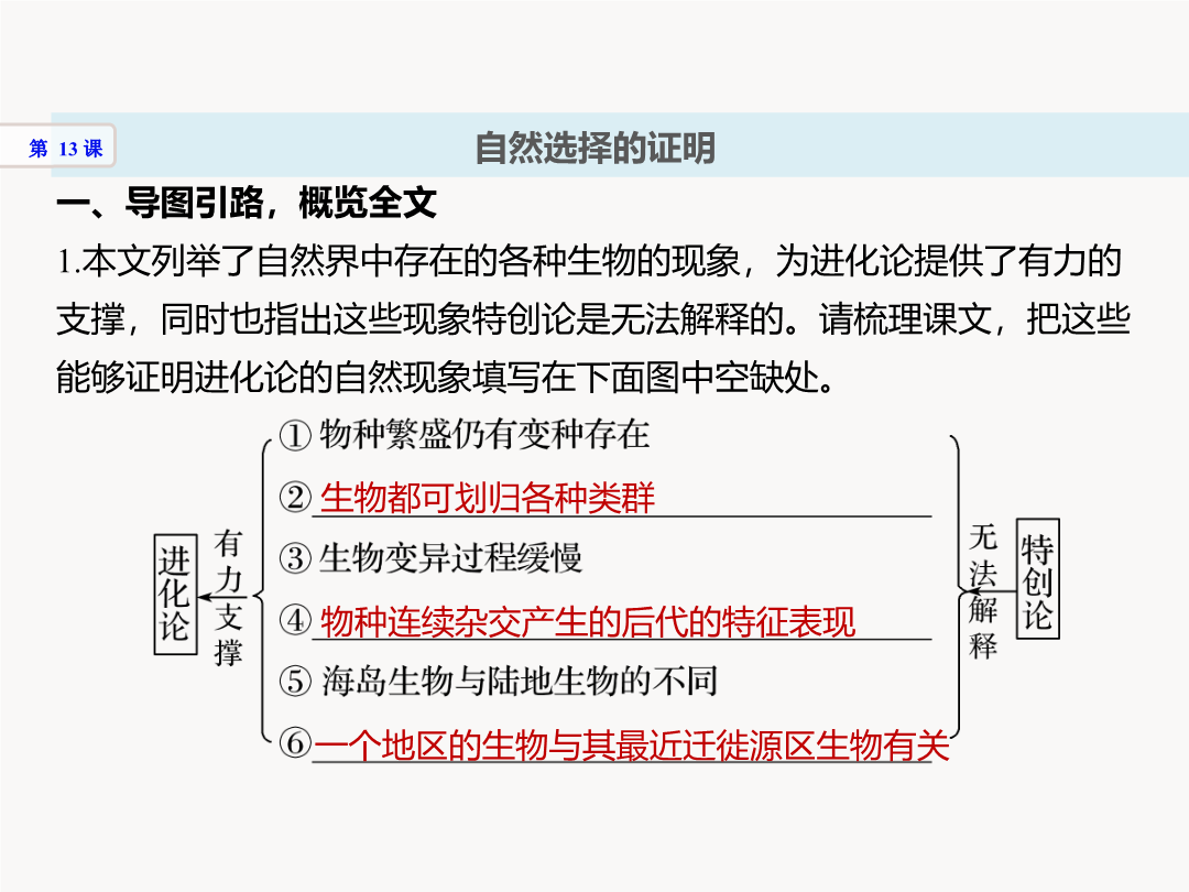 宇宙的边疆结构图图片