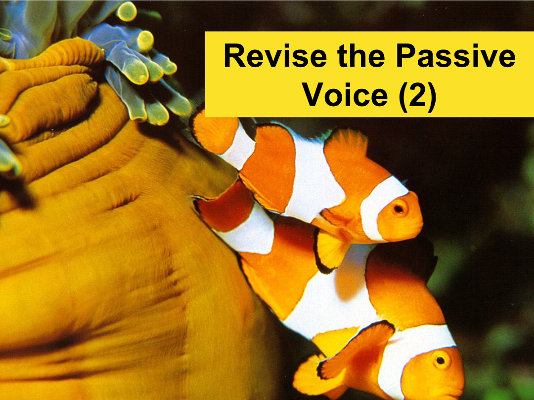 unit 3 under the seagrammar 动名词的被动语态(教学课件)-盂县第三