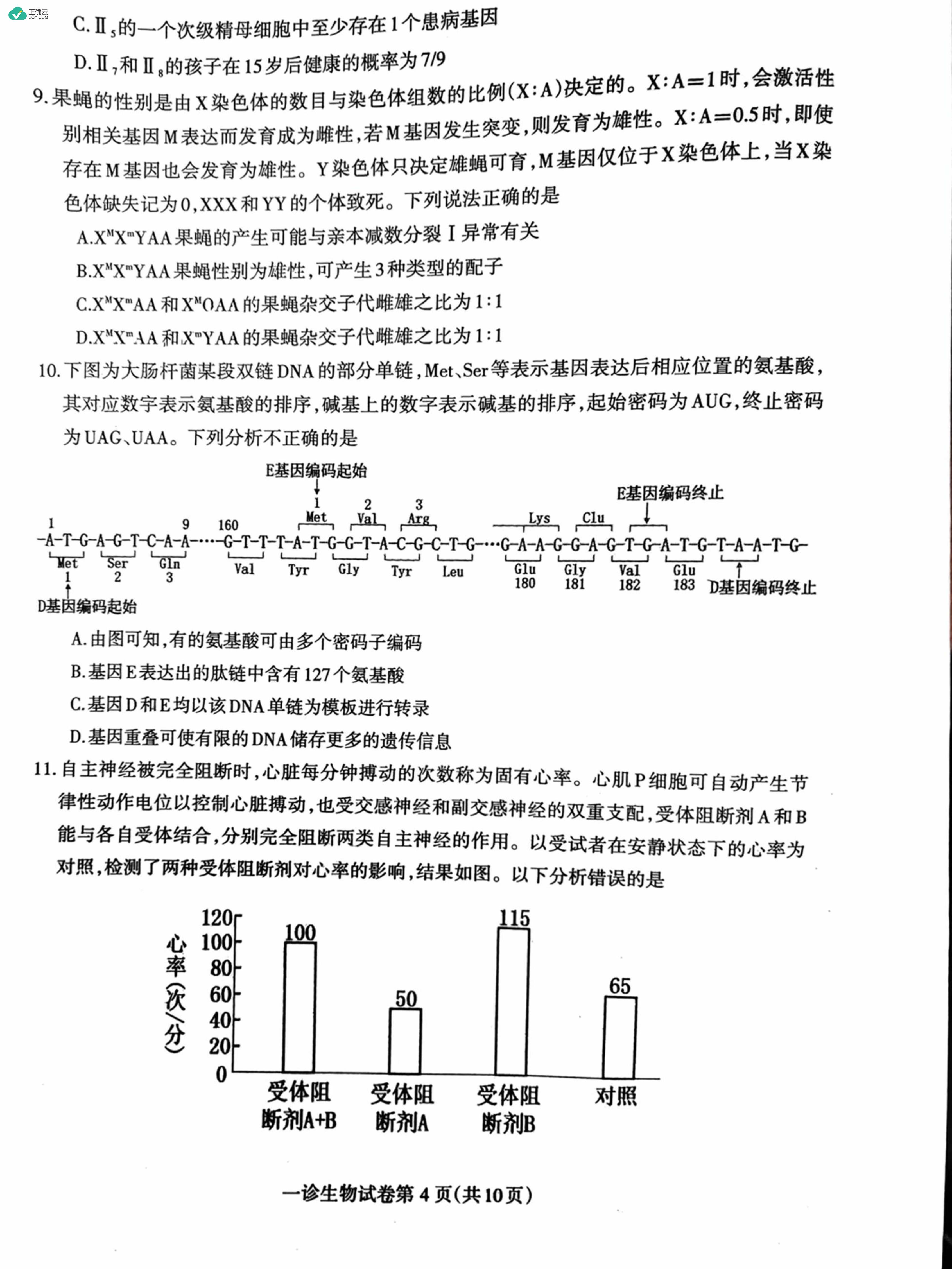 四川省达州市2025届高三上学期第一次诊断性测试生物试卷（图片版）_正确云资源